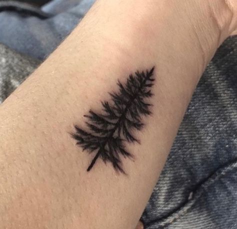 Pine Tattoo Design, Norway Spruce Tattoo, Scots Pine Tattoo, Pine Tree Tattoo Men, Fine Line Pine Tree Tattoo, Simple Pine Tree Tattoo, White Pine Tattoo, Pine Tree Tattoo Designs, Lake Superior Tattoo