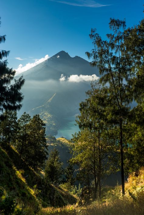 #rinjani #mtrinjani #lombok #pergasinga Experience breathtaking views and heartwarming moments with Lombok’s leading tour provider. We offer the best guides, equipment and Indonesian cuisine to create your most unique and memorable trekking adventures. Gunung Rinjani Aesthetic, Rinjani Mountain Wallpaper, Rinjani Mountain, Mount Rinjani, Gili Island, Indonesian Cuisine, Mountain Wallpaper, Se Asia, The Milky Way