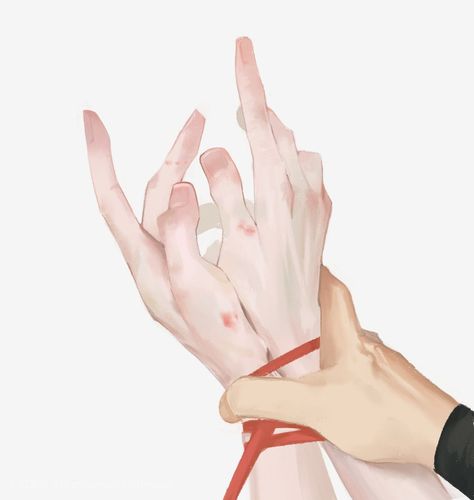 Anime Hands, Hand Drawing Reference, Hand Reference, Hand Art, Reading List, Drawing Reference Poses, Art Reference Poses, White Cat, 그림 그리기