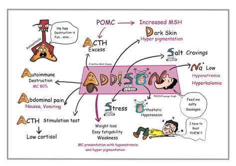 Addison Disease : primary adrenal insufficiency - Creative Med Doses Adrenal Cortex, Addisons Disease, Medicine Studies, Nursing Mnemonics, Nursing School Studying, Nursing School Tips, Medical School Studying, Nursing School Notes, Medical School Essentials