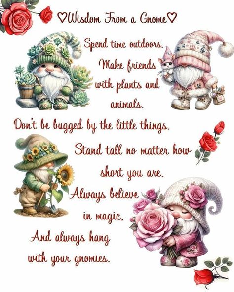 Enjoy Your Day Quotes, Gnome Quotes, Gnome Wallpaper, Sorry Quotes, Happy Day Quotes, Gnome Pictures, Hug Quotes, Good Morning Animation, Enjoy Your Day