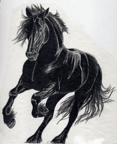 Black horse Stallion Tattoo, Horse Stencil, Horse Tattoo Design, Western Tattoos, Black Stallion, Black Horses, Horse Tattoo, Horse Drawings, Equine Art