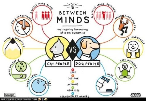 TRUE STORY- Cat Owners' Minds vs. Dog Owners' Minds Cat Person Vs Dog Person, Crate Training Dog, Dog Infographic, Dog Training Equipment, Cat Vs Dog, Dog Training Classes, Dog Info, Dog People, Dog Training Collar