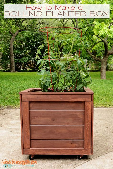 This DIY Planter Box with Wheels is perfect for any patio or garden area. It works perfectly for vegetables or flowers. And rolls where ever you want it. Tutorial is loaded with photos and step-by-step instructions to make this in one morning. Greenhouse Planters, Wooden Planter Boxes Diy, Deck Roof, Diy Wooden Planters, Outdoor Ambiance, Diy Flower Boxes, Roof Ideas, Plant Containers, Backyard Dreams