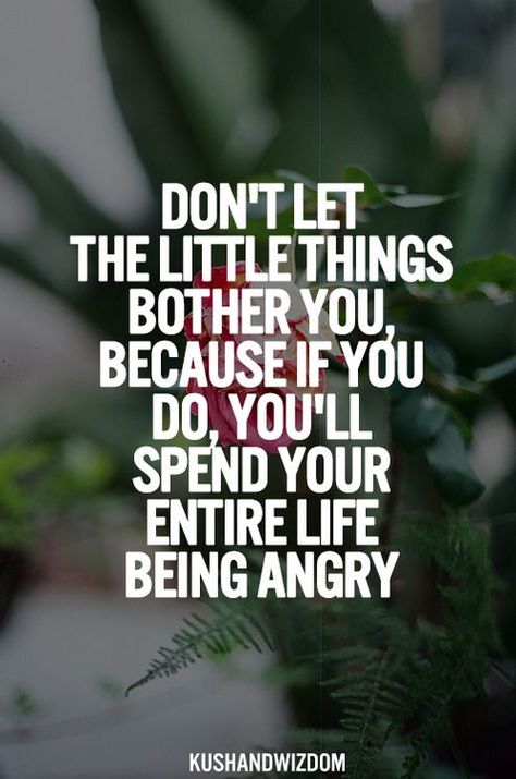 You Dont Bother Me Quotes. QuotesGram Good Quotes, Quote Of The Week, 10th Quotes, Quotable Quotes, Quotes About Strength, The Little Things, A Quote, The Words, Great Quotes