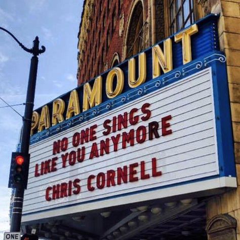 Nirvana Quotes Lyrics, Paramount Theater, Grunge Music, Temple Of The Dog, Boogie Woogie, Alice In Chains, Rhythm And Blues, Chris Cornell, Nu Metal