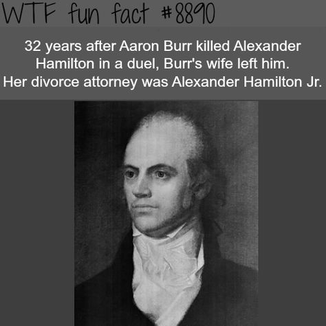 Aaron Burr and Alexander Hamilton - WTF fun facts Hamilton Facts, Funny History Facts, Aaron Burr Hamilton, Funny Weird Facts, Weird History Facts, Hamilton Jokes, Aaron Burr, Divorce Attorney, Hamilton Broadway