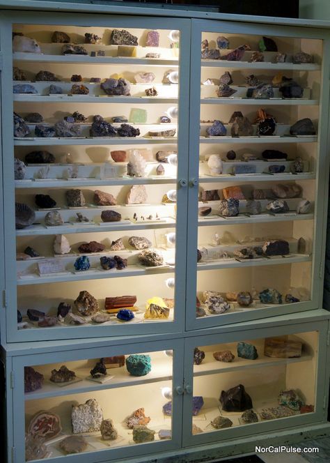 Rock Display Table, Mineral Display Ideas, Rock Shop Displays, Rock Collection Aesthetic, How To Display Rocks, Rock Display Ideas Diy, Rock Display Ideas, Mineral Collection Display, Rock Collection Storage