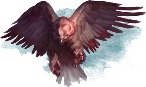 Hawk - Monsters - D&D Beyond Giant Eagle Fantasy Art, 5e Monsters, Monster Inspiration, Hawk Bird, Dnd Races, Eagle Art, Birds Art, Pathfinder Rpg, Dnd Monsters