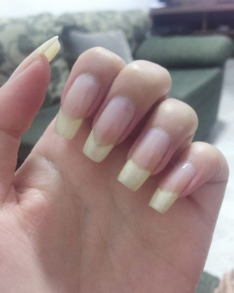 Long Nail Natural, Healthy Natural Nails, Long Nail Beds, Nail Growth Tips, Long Natural Nails, Long Nail, Nail Bed, Nail Stuff, Nail Growth