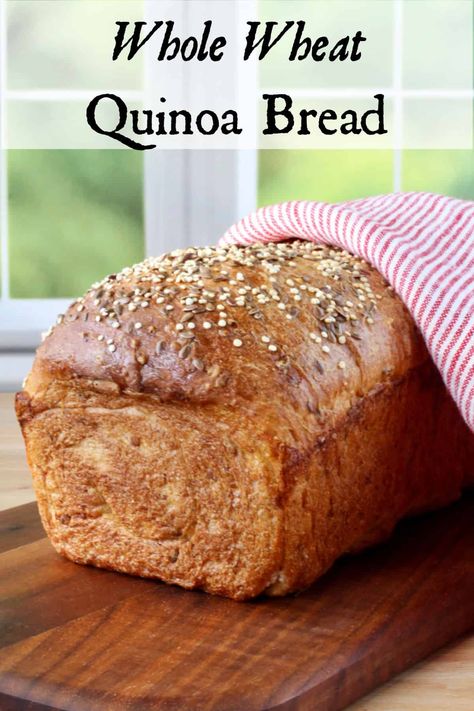 Whole Wheat Quinoa Bread Quinoa Bread Recipe, Quinoa Bread, Friends Recipes, Flatbread Recipes, Bread Baker, Bread Loaf, Foodie Friends, Easy Bread Recipes, Kitchen Stories