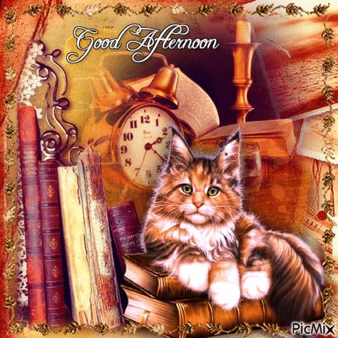 Good Afternoon Cat and Books Good Afternoon Gif, Good Afternoon Images, Afternoon Images, Library Vintage, Morning Memes, Books Library, Hope You Are Well, Alpha Female, Cat Books