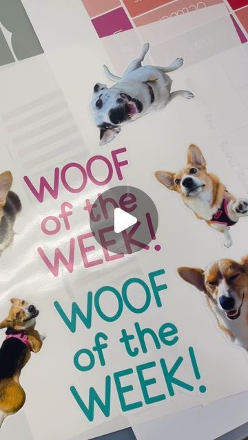 Reimagines | Our “Woof of the Week” clings are a wonderful way to add a personal touch to your classroom whiteboard. Use it to display weekly reminders,... | Instagram Teacher Whiteboard, Whiteboard Ideas, Classroom Whiteboard, Class Pet, Image Background, Static Cling, Classroom Organization, Whiteboard, White Board