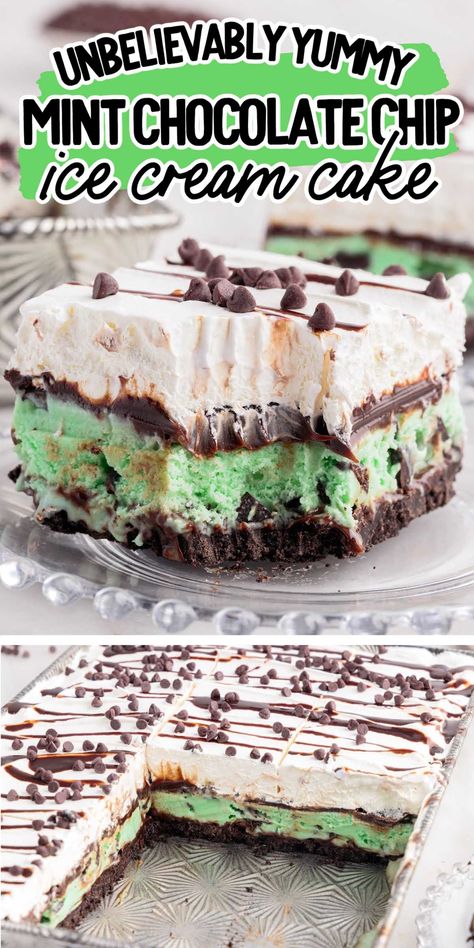 Mint Ice Cream Cake, Chocolate Chip Ice Cream Cake, Mint Chocolate Chip Ice Cream Cake, Nba Party, Mint Chocolate Chip Milkshake, Perfect Cheesecake, Mint Desserts, Mint Chocolate Ice Cream, Mint Chocolate Cake