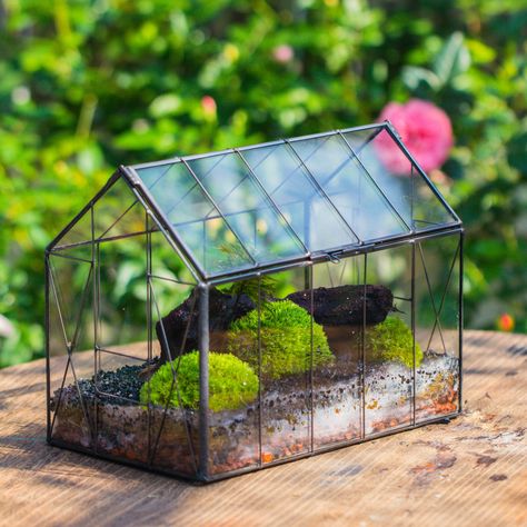 Vintge Greenhouse inspired tin and glass geometric terrarium Terarium, Close, for moss, fern, shade plants, micro landscape - NCYPgarden Close Terrarium, Terrarium Closed, Wall Terrarium, Planting Pots, Terrarium Containers, Geometric Terrarium, Moss Terrarium, Moss Wall, Small Potted Plants