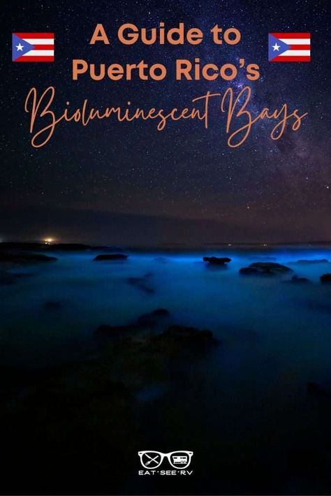 Visiting one of Puerto Rico's bioluminescent bays should be on every traveler's bucket list for a Puerto Rico vacation. This post shares the best options for seeing bioluminescence from San Juan and what to expect on the Bio Bay kayak tour. Bioluminescence Puerto Rico, Bioluminescent Bay Puerto Rico, Glow Water, Bioluminescent Bay, Puerto Rico Trip, Puerto Rico Vacation, Iceland Travel Guide, Mexico Travel Guides, Digital Nomad Life