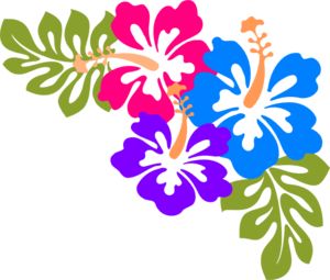 Example of corner design made up of hibiscus flowers and leaf templates. Transparent background. Tivaevae Templates, Hibiscus Svg Free, Hibiscus Clip Art, Hibiscus Illustration, Leaf Templates, Art Border, Luau Invitations, Clipart Flowers, Borders Free