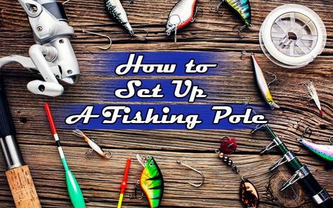 How to Set Up a Fishing Pole | Simple and Easy Guidelines - Fishing Form Fishing Rod Setup, How To Set Up A Fishing Pole, Different Fish, Fishing For Beginners, Spinning Rods, Types Of Fish, Fishing Tools, Fishing Pole, Fishing Equipment