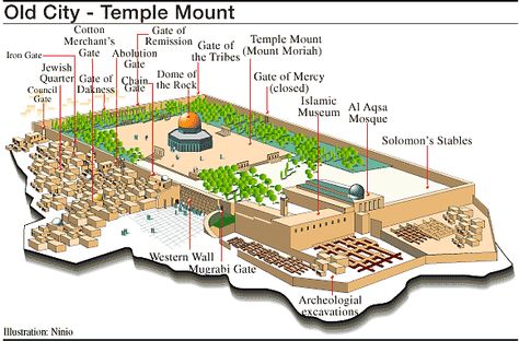 Map of Jerusalem When Jesus | Prepare To Meet The Lord: International Temple Mount Awareness Day ... Third Temple, Al Quds, Bible Mapping, Temple Mount, Bible Study Help, Dome Of The Rock, Bible History, Biblical Studies, Bible Knowledge