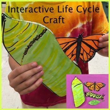 DIY Paper Mobiles: Whimsical Room Decor
Paper Craft Ideas for Kids' Parties: Entertainment Galore The Monarch Butterfly, Monarch Butterfly Life Cycle Activities, Monarch Butterfly Activities, Butterfly Chrysalis Craft, Butterfly Activities For Kids, Butterfly Science Activities, Monarch Butterfly Craft, Chrysalis Craft, Butterfly Preschool