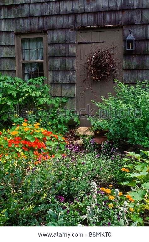 This Colonial-style Dooryard Herb Adn Vegetable Garden Features Stock Photo, Royalty Free Image: 22582224 - Alamy Reka Bentuk Landskap, English Garden Style, Diy Jardin, Country Cottage Garden, Longwood Gardens, English Cottage Garden, English Country Gardens, Old Stone, Gorgeous Gardens