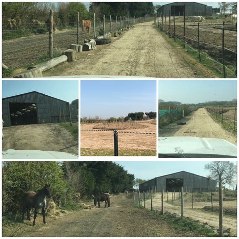 Horse Paddock, Paddock Paradise, Horse Property, Electric Fence, Planning Permission, Horse Life, Hobby Farms, Tracking System, Top Ten