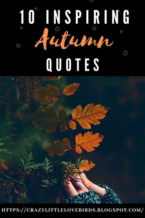 It Feels Like Fall Quotes, Quotes On Autumn Season, Fall Reflection Quotes, Fall Life Quotes, Autumn Blessings Quotes, Autumn Yoga Quotes, Fall Yoga Quotes, Fall Spiritual Quotes, Autumn Scripture Quotes