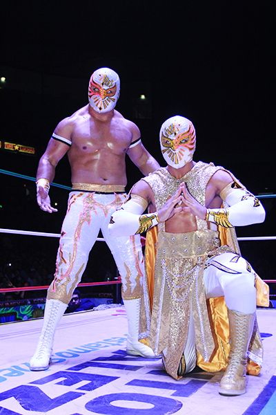 Caristico (CMLL's 1st Mistico / WWE's Sin Cara) & Mistico (former Dragon Lee) Wwe Attire, Mysterio Wwe, Mexican Wrestler, Wrestling Gear, Wwe Elite, Boxing Shorts, Body Reference Drawing, Wrestling Superstars, Body Reference Poses