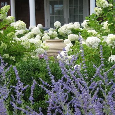 Rear pergola /patio - Eclectic - Landscape - Boston - by Sallie Hill Design, Landscape Architect | Houzz Russian Sage, Asian Landscape, Traditional Garden, Traditional Landscape, Pergola Patio, White Hydrangea, Water Feature, Landscape Architect, A Sea