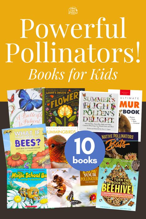 All About Bees, Photo Facts, Solitary Bees, First Grade Science, Mason Bees, Baby Play Activities, Kindergarten Books, Small But Mighty, Magic School Bus