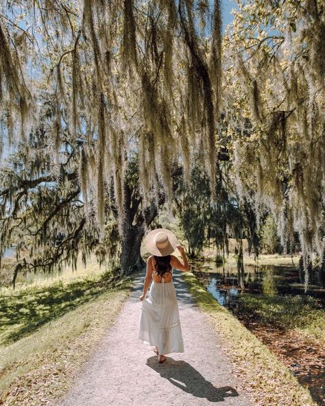 If you're looking for the best Charleston nature spots, you've come to the right post! From Spanish-moss draped live oak trees and Charleston beaches to stunning gardens and plantations, Charleston has no shortage of gorgeous nature spots. Whether you're looking for a quiet place to enjoy the outdoors, somewhere to go fishing, or stunning nature for photography, this list has them all. These are some of the best photo spots in Charleston and the prettiest places in the area! Charleston Photo Spots, Charleston Beaches, Charleston Photography, Charleston Hotels, Cypress Gardens, Middleton Place, Isle Of Palms, Live Oak Trees, Folly Beach