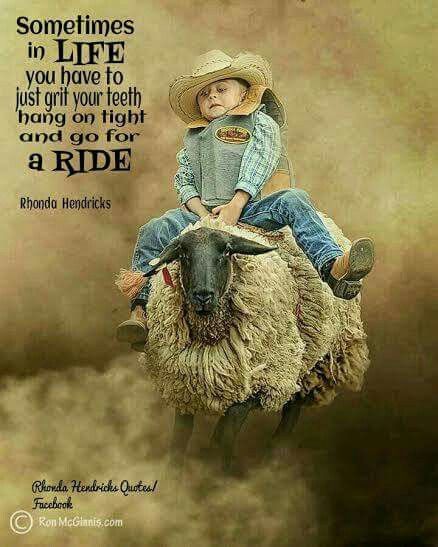 Sometimes, you just have to grit your teeth, hang on tight, and go for a RIDE!  image by: Ron McGinnis Rhonda Hendricks Quotes/ Facebook Bull Riding Quotes, Southern Girl Quotes, Western Quotes, Cowboy Quotes, Fb Quote, Cowgirl Quotes, Riding Quotes, Rodeo Life, Cowboy Horse