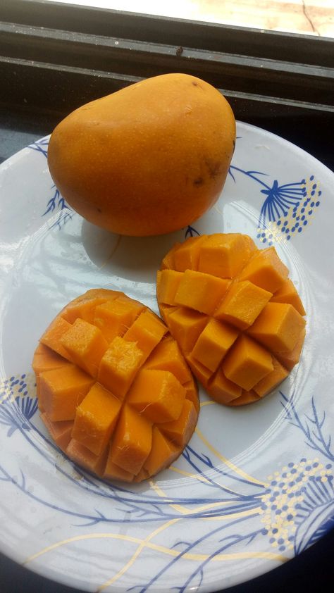 Mango summer Mango Snap, Mango Photography, Mango Aesthetic, Snapchat Snaps, Toxic Quotes, Letter Wallpaper, Funny Snapchat Pictures, Funny Snapchat, Foodie Instagram