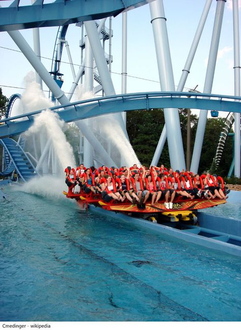 Busch Gardens opened up in Williamsburg, VA. on May 5, 1975 with the theme park located directly next to the Anheuser-Busch brewery. Bush Gardens Williamsburg, Top Family Vacations, Best Roller Coasters, Busch Gardens Williamsburg, Bush Garden, Theme Parks Rides, Williamsburg Virginia, Amusement Park Rides, Meteor Garden 2018