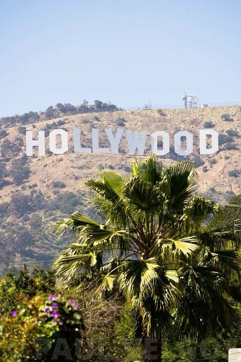 Los Angeles Wallpaper, Los Angeles Aesthetic, Holly House, Santa Monica Mountains, Nevada Mountains, Los Angles, Hollywood Sign, Hollywood Hills, City Of Angels