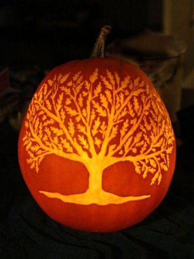 7. Oak Tree Pumpkin Carving Tree, Tree Pumpkin Carving, Pumkin Decoration, Pumpkin Carving Tools, Scream 4, Pumpkin Tree, Pumpkin Carver, Pumpkin Carving Contest, Pumpkin Carving Designs