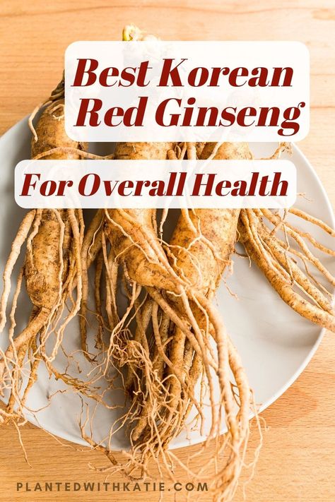 Best Korean Red Ginseng Ginseng Benefits Women, Benefits Of Ginseng For Women, Red Panax Ginseng Benefits, Korean Red Ginseng Benefits, Korean Ginseng Benefits, Ginseng Tea Benefits, Red Ginseng Benefits, Royal Jelly Benefits, Ginseng Drink