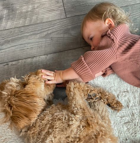 golden doodle and baby girl Golden Doodle Aesthetic, Doodle Baby, Me As A Parent, Dogs And Babies, Kids Doodles, Mini Goldendoodle, Golden Doodle, Future Family, 2025 Vision