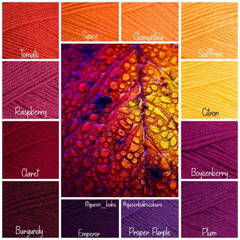 Fall Color Palette With Names, Boho Color Combinations, Yarn Color Pallets, Colours That Go With Orange, Color Pallets Orange, Color Palette 10 Colors, Stylecraft Colour Combinations, Yarn Color Palette, Paint Color Combos