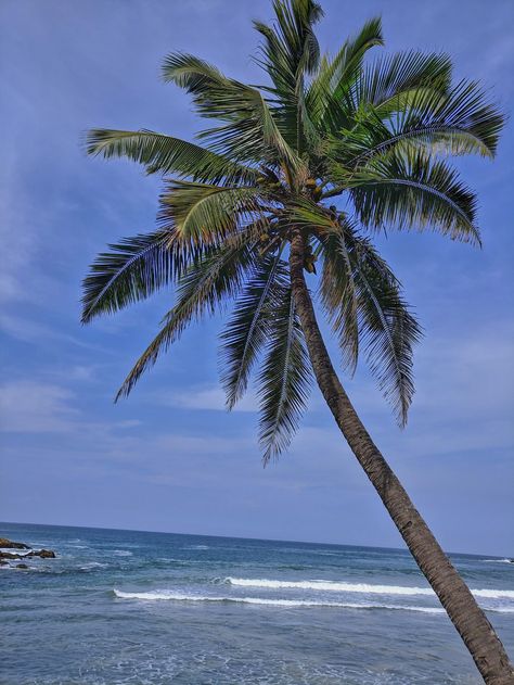 May we call it the GOONDA ACT? Some people are already calling it GOONDA ACT. According to national crime data, Lakshadweep has the lowest crime rate in our country so, this data itself demonstrates the cultural harmony among people there. Vibe Outfits, Adventure Pictures, Night Wallpapers, Summer Vibes Adventure, Summer Vibes Aesthetic, Summer Vibes Friends, Summer Night Photos, Adventure Picture, House Beach