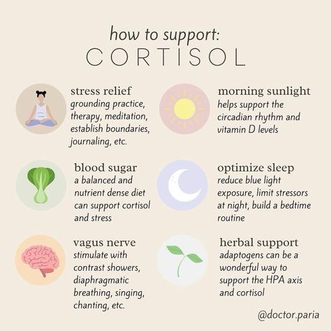 High Cortisol, Healthy Hormones, Feminine Health, Hormone Health, Circadian Rhythm, Burn Out, Mental And Emotional Health, Self Care Activities, Health Facts