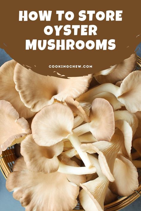 Learn how to store oyster mushrooms properly to keep them fresh for up to 7-10 days. This article covers the best methods for storing oyster mushrooms in the refrigerator, freezer, or dehydrator, as well as tips for preventing mold and spoilage. How To Store Fresh Mushrooms, Dehydrated Oyster Mushrooms, How To Preserve Oyster Mushrooms, Recipes For Oyster Mushrooms, Cooking Oyster Mushrooms, Dried Oyster Mushroom Recipe, Freezing Mushrooms, How To Store Mushrooms, Cooking Mushrooms