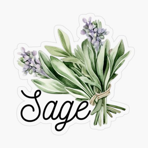 Get my art printed on awesome products. Support me at Redbubble #RBandME: https://www.redbubble.com/i/sticker/Sage-Whimsy-Watercolor-Wonder-by-NatureArtDecor/157108975.O9UDB?asc=u Herbal Illustration, Botanical Elements, Plant Design, Decor Accessories, Botanical Art, Home Decor Accessories, Nature Art, Science Poster, Sticker Design