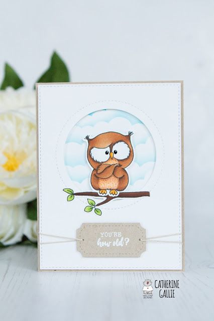 You're how old? - Owl card Owl Cards Handmade Ideas, Owl Birthday Card, Sarcastic Expression, Owl Cards, Crossed Arms, Cool Birthday Cards, Owl Birthday, Owl Card, Thank You Card Design