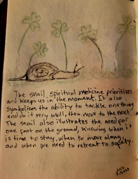 Snail Trail On Belly, Snail Spiritual Meaning, Snail Symbolism, Snail Meaning, Snail Quote, Spirit Animal Meaning, Animal Meanings, Witch Vibes, Self Care Bullet Journal