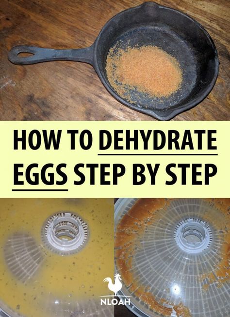 Dehydrated Eggs How To Make, How To Dehydrate Eggs In The Oven, How To Dehydrate Food In The Oven, How To Dehydrate Eggs, How To Dehydrate Eggs In A Dehydrator, Dehydrated Eggs, Dehydrate Eggs, Jerky Seasoning Recipe, Drying Mushrooms In Dehydrator