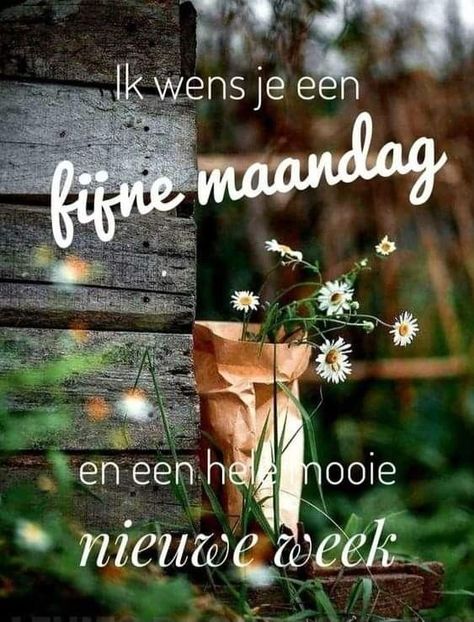 Happy Maandag, Beautiful Days, Night Pictures, Daily Pictures, Happy Monday, Good Morning, Van, Quotes