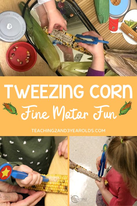 This tweezing corn activity is a fun way to build preschool fine motor skills. Perfect with your farm or fall theme! #finemotor #preschool #corn #fall #farm #age3 #age4 #teaching2and3yearolds