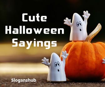 100 Cute, Spooky And Funny Halloween Sayings Batty Halloween Sayings, Spider Sayings Halloween, Mummy Quotes Halloween, Cute Spooky Sayings, Halloween Quotes And Sayings Cute Short, Halloween Greetings Humor, Ghost Sayings For Halloween, Halloween Quotes And Sayings Funny, Cute Ghost Sayings