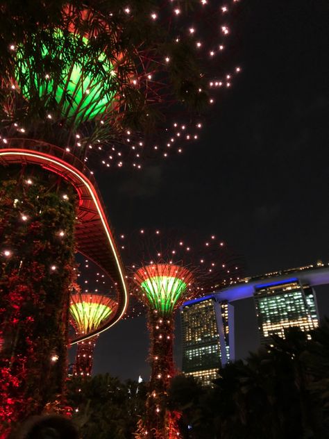 Supertree Grove, Sands Singapore, Marina Bay, Marina Bay Sands, Singapore